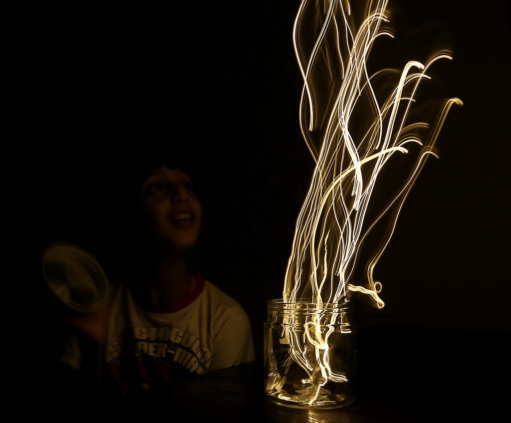 Fireflies  by abhijit
