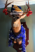 18th Dec 2014 - Rudolph got an update...