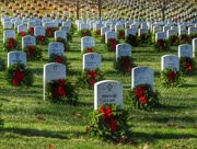 17th Dec 2014 - Arlington Cemetery at Christmas