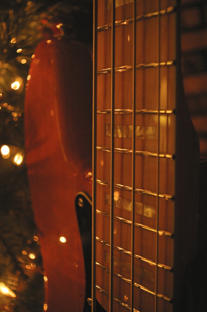Bass by the tree by thewatersphotos