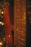 17th Dec 2014 - Bass by the tree