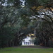 Old house and live oak alley, Charleston, SC by congaree