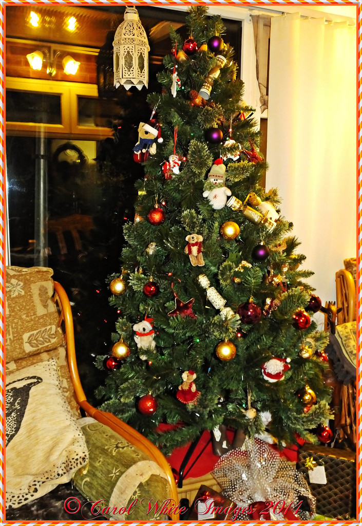 Christmas Tree by carolmw