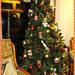 Christmas Tree by carolmw