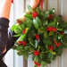 Hanging the wreath by happypat