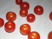 16th Dec 2014 - Tomatoes