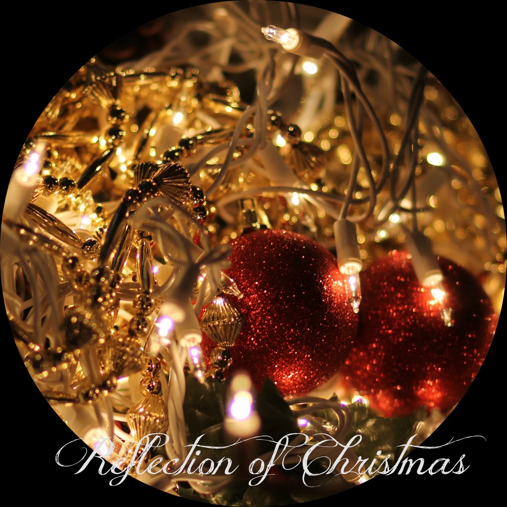 Reflection of Christmas by judyc57