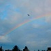 Birds Fly over the Rainbow by pandorasecho