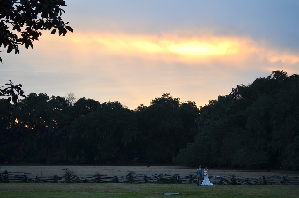 Wedding couple, Magnolia Gardens, Charleston, SC by congaree