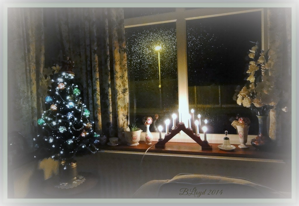 Ooh ! Christmas Tree !! by beryl