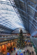 19th Dec 2014 - St Pancras Station