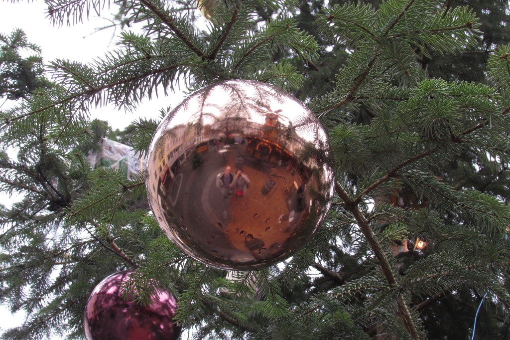 Merry Christmas Reflection from Koblenz by bizziebeeme