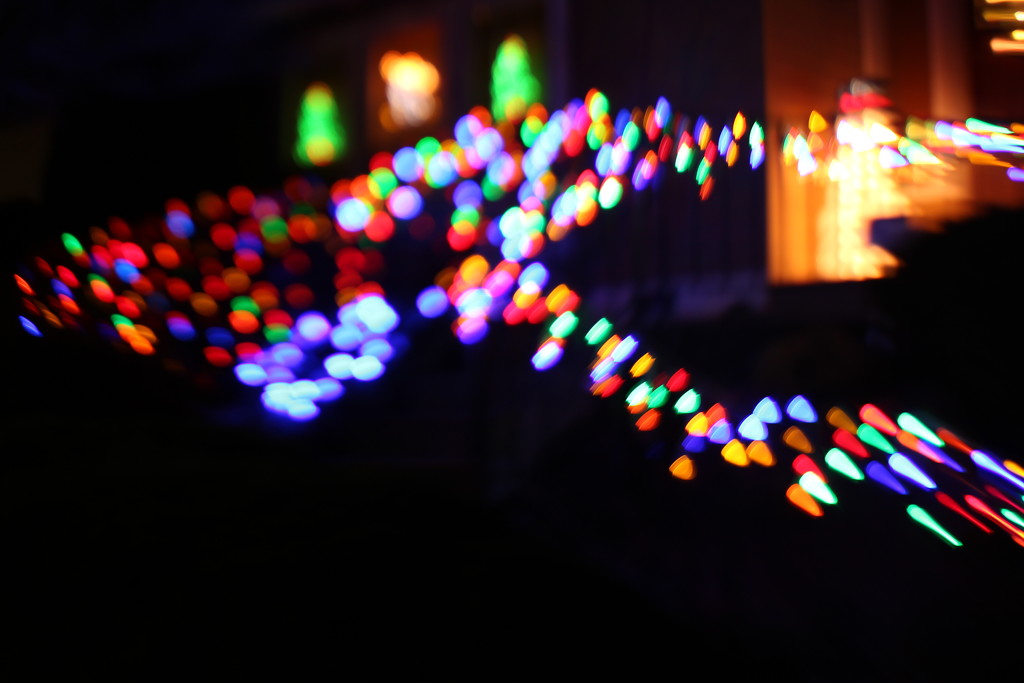Lensbaby Christmas Lights by nanderson