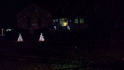 19th Dec 2014 - Christmas lights on Stacy