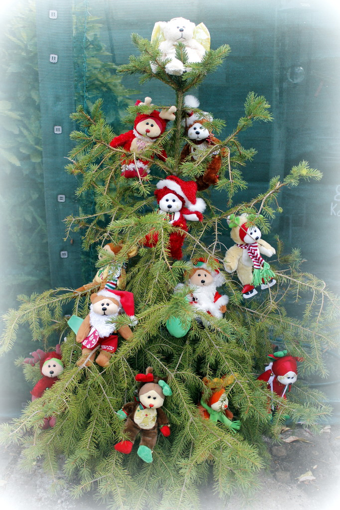 Jingle Bears, Jingle Bears... by gilbertwood