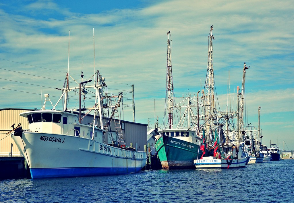 Shrimp boats at the dock by soboy5