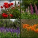 Flowers  by gosia