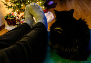 20th Dec 2014 - Lounging