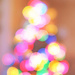 Christmas Tree in Bokeh by april16