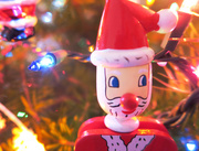 19th Dec 2014 - Christmas Ornament