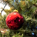 December 20: Christmas 2014: Tree decorations by daisymiller