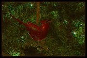 20th Dec 2014 - Christmas Ornament