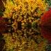 Yellow Bush by teiko