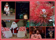 21st Dec 2014 - Kiwi christmas collage..