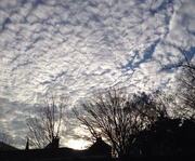 21st Dec 2014 - Amazing clouds over downtown Charleston, SC
