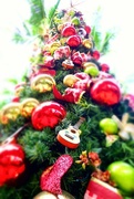 21st Dec 2014 - Hawaiian Christmas tree. Advent calendar, day 21.