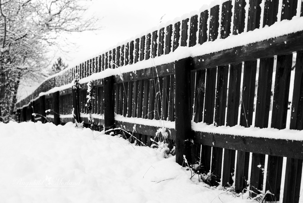 White Fence by ragnhildmorland