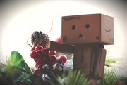 21st Dec 2014 - Danbo Loves the Christmas Season