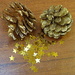 Pine cones by boxplayer