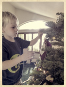 21st Dec 2014 - Santa's Helper