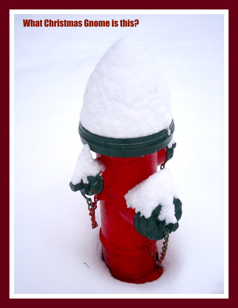 Christmas Gnome (?) by mcsiegle