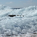 Ice crawlling out of the lake by hellie
