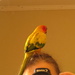 A bird on the head... by alia_801