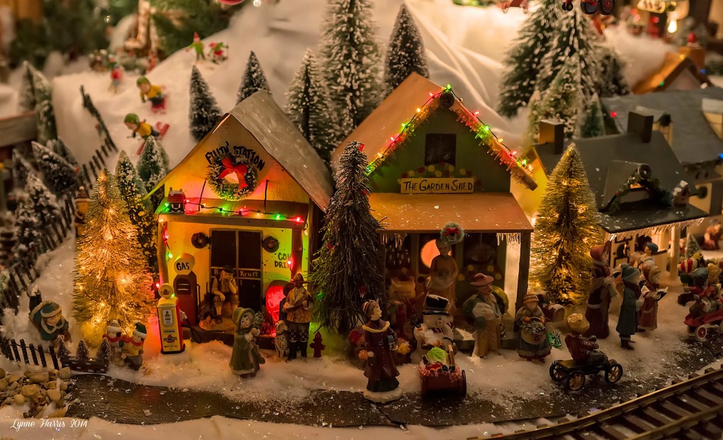 Christmas Village by lynne5477