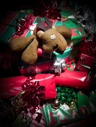 22nd Dec 2014 - Reindeer on watch.