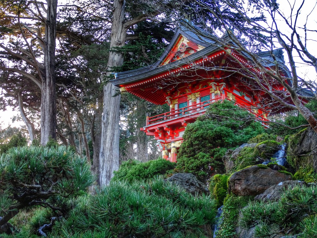Japanese Tea Garden by khawbecker