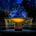 Chihuly in the Gardens (For Danette) by darylo