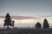 22nd Dec 2014 - Mt Rainier and The Fog