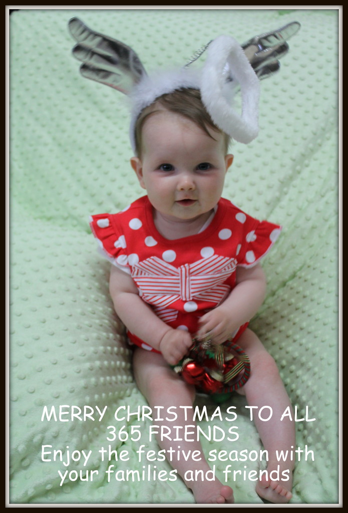 Merry Christmas to all 365ers by gilbertwood