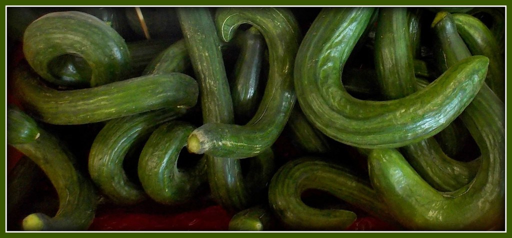 curley cucumbers by cruiser