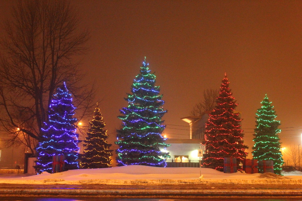 Christmas trees on a foggy night. by hellie