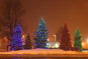24th Dec 2014 - Christmas trees on a foggy night.