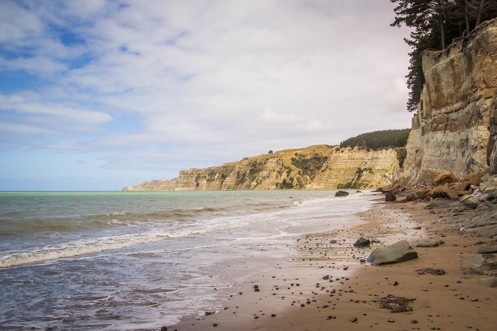 Cape Kidnappers #233 by ricaa