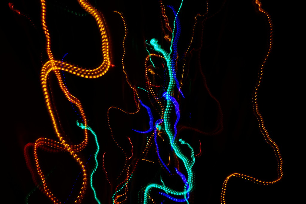 Light Snakes by tosee