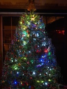 23rd Dec 2014 - O Christmas Tree....