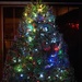 O Christmas Tree.... by selkie